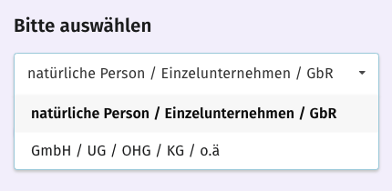 Auswahlfeld für den Stripe-Kontotyp.